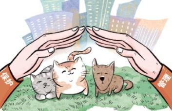 热点生活 第9页